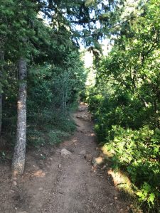 mountain trail