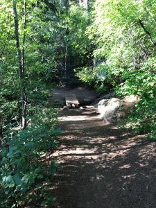 mountain trail