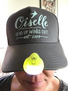 Oiselle cap and Amphipod light